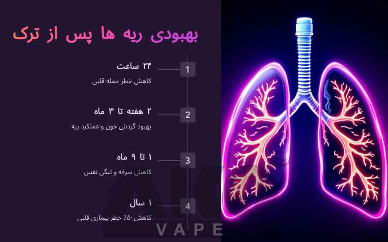 بهترین جایگزین برای ترک سیگار، درمان سنتی و مدرن 19 بهبود ریه بعد جایگزینی سیگار